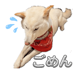 Kazumax_20260510161305