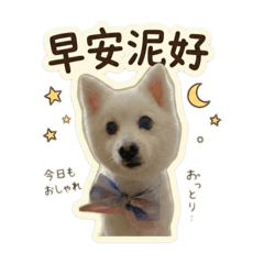 嚕嚕一直都在♡