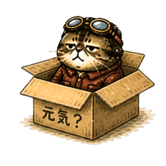 低空飛行貓：輕鬆回覆篇