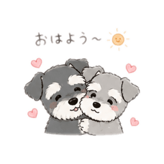 Nam_20260510113401
