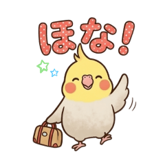 AYAchi_20260510161726