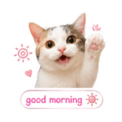 Valentine_20260428165238