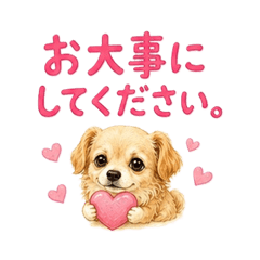 mocca_20260510164702
