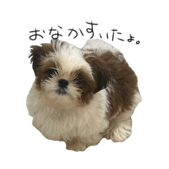 nushih_tzu_20260510165128