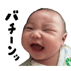 yo--pichi_20260510164608