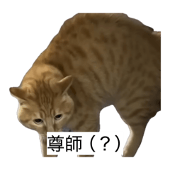 agonomasaki_20260510165831