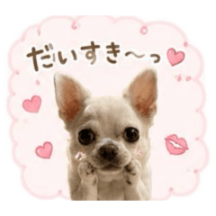 Yokako_20260510173004