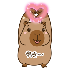 cute chubby capybara V12 [JP] Animate3