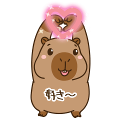 cute chubby capybara V12 [JP] Animate3