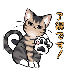 riona_20260510173101