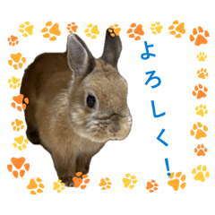 yumatsu_20260510172758