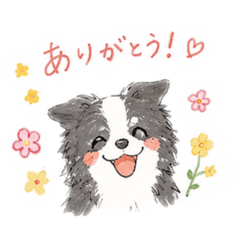 kawaco_20260510174140