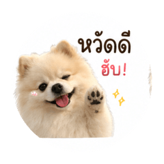 Donatii2020_20260429121740