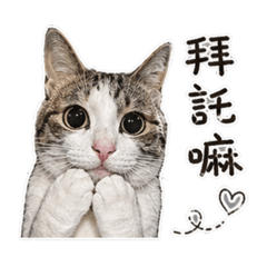臭屁小嚕的日常用語圖集