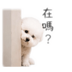 MILU - 棉花糖日常用語