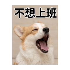 ㄐ瓜