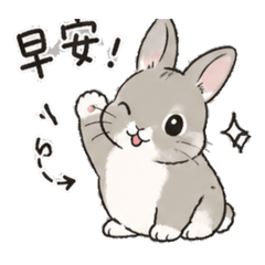莉莉兔日常