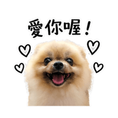 我家可愛的洪土豆