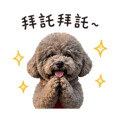 KUMA❤️