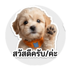 Donatii2020_20260430165628