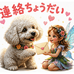 Fluffy Poodle & Fairy: Summer Care