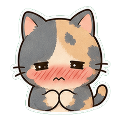 Dilute Tortoiseshell Dusty 1