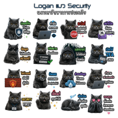 Logan Office cat