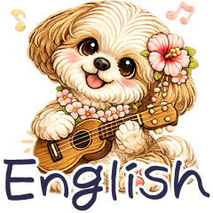 3D Shih tzu 2026 (English) Hawaii
