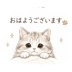 coucou cat Hotel