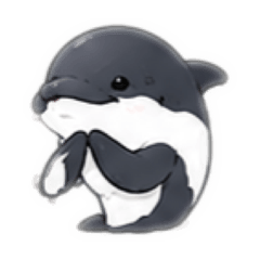Cute Commerson's Dolphin Reactions