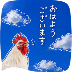 motto's Sky & Speech Bubbles