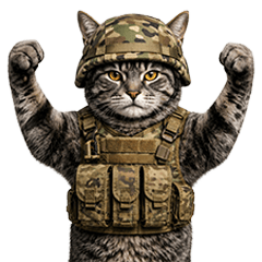 Veteran Kitten | Daily Stickers