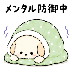 Daily Life of Tofu Dog