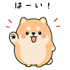 Mofumaro the Cute and Relaxed Mame Shiba