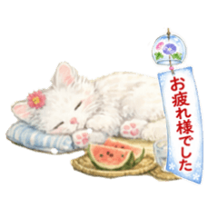 Sweet Summer White Cats