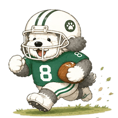 OldEnglishSheepDog-football