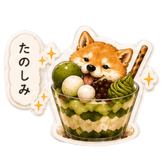 Wagashi Shiba & Sweet Treats