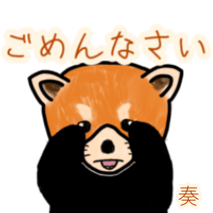 Sou.Etc's lesser panda