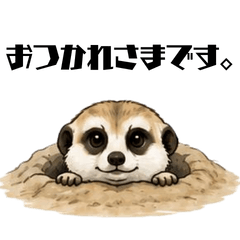 Agile Meerkat