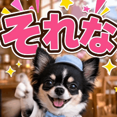 New! Pop-up Moe Moe Chihuahua Vol.1