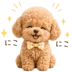Fluffy Reaction Poodle