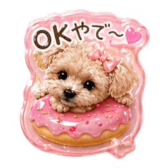 Super Cute Kansai Toy Poodle