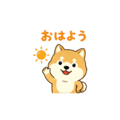 Adorable Shiba Daily Stickers