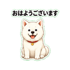 Akita Inu Daily Chat Stickers