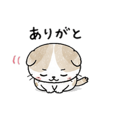 Wonky Scottie Daily Stickers