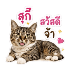 ojhgggggg_20260513103707