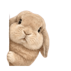 Mymilo