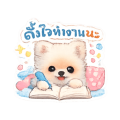 SPlove_20260428165411