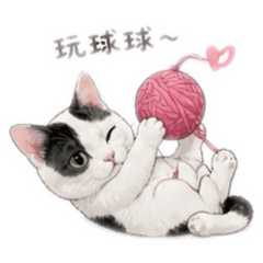 咪咪魚魚