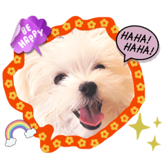 chloesy_20260510175758